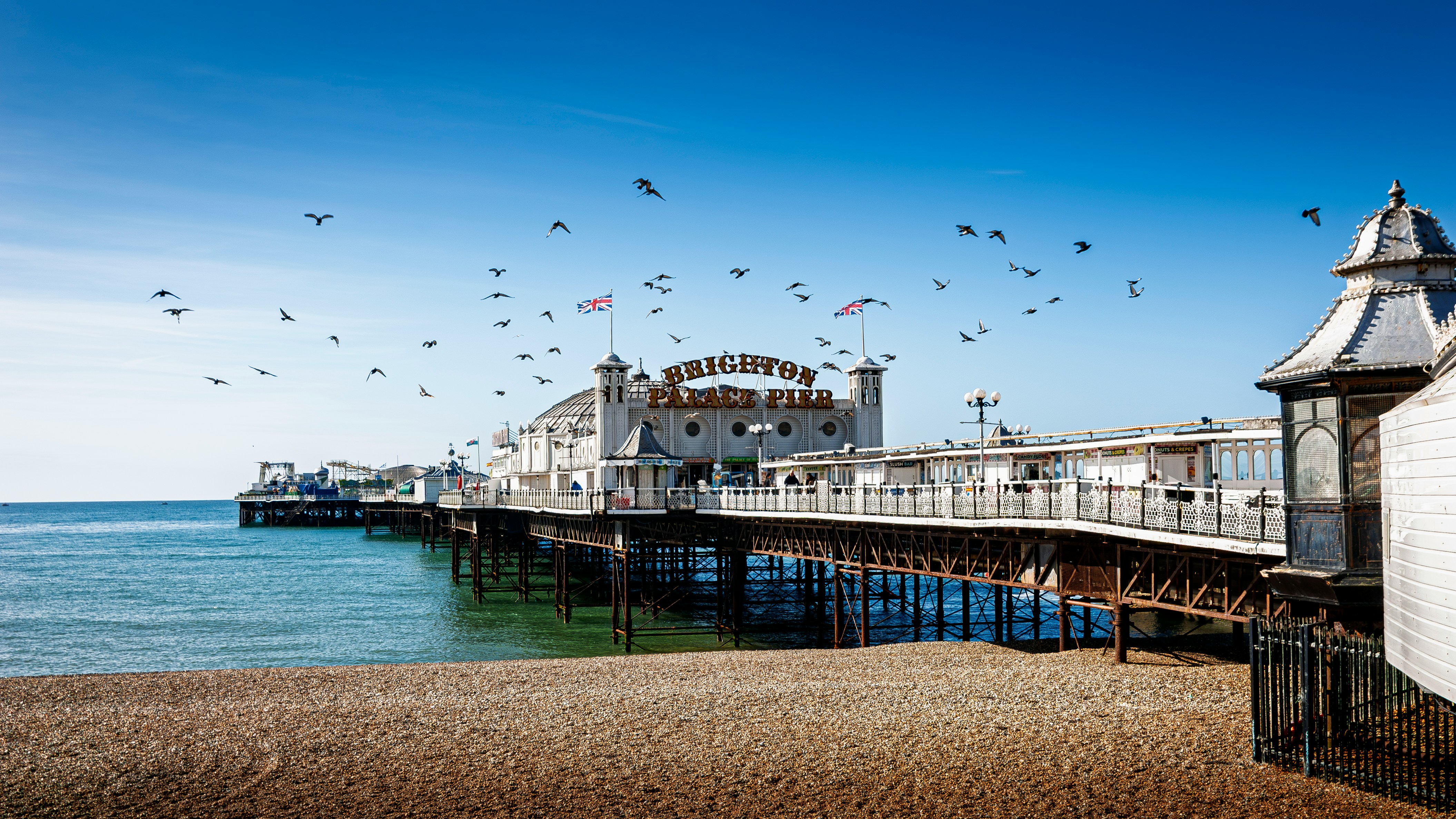 Brighton & Hove Collective